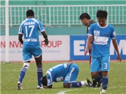 Bóng đá anh, ngoại hạng anh, lịch thi đấu euro 2012, HP.HN với bài toán Timothy: Ai sẽ thuần hóa “bò mộng” ?